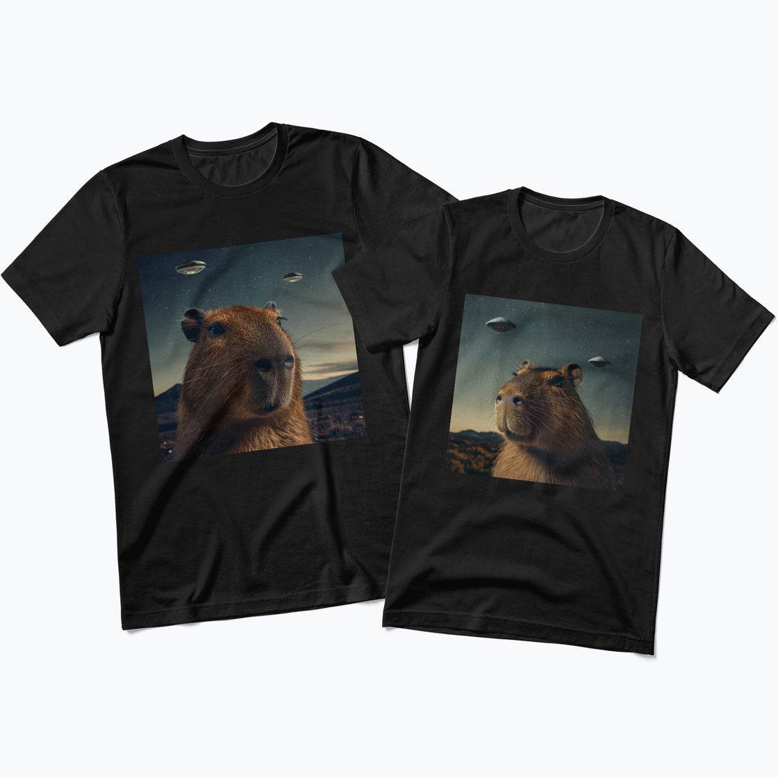 UFO Capybara – Funny Matching Outfit for His & Hers Moments