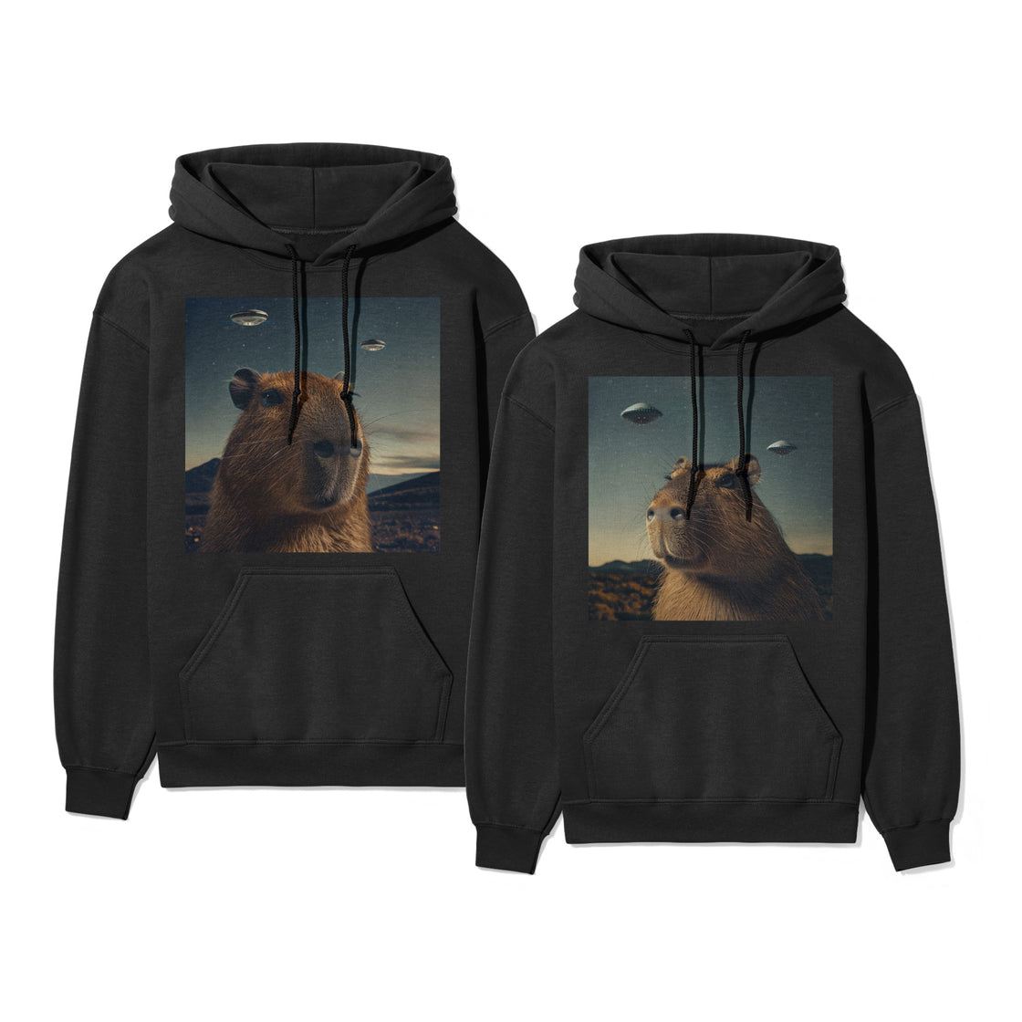 UFO Capybara – Funny Matching Outfit for His & Hers Moments