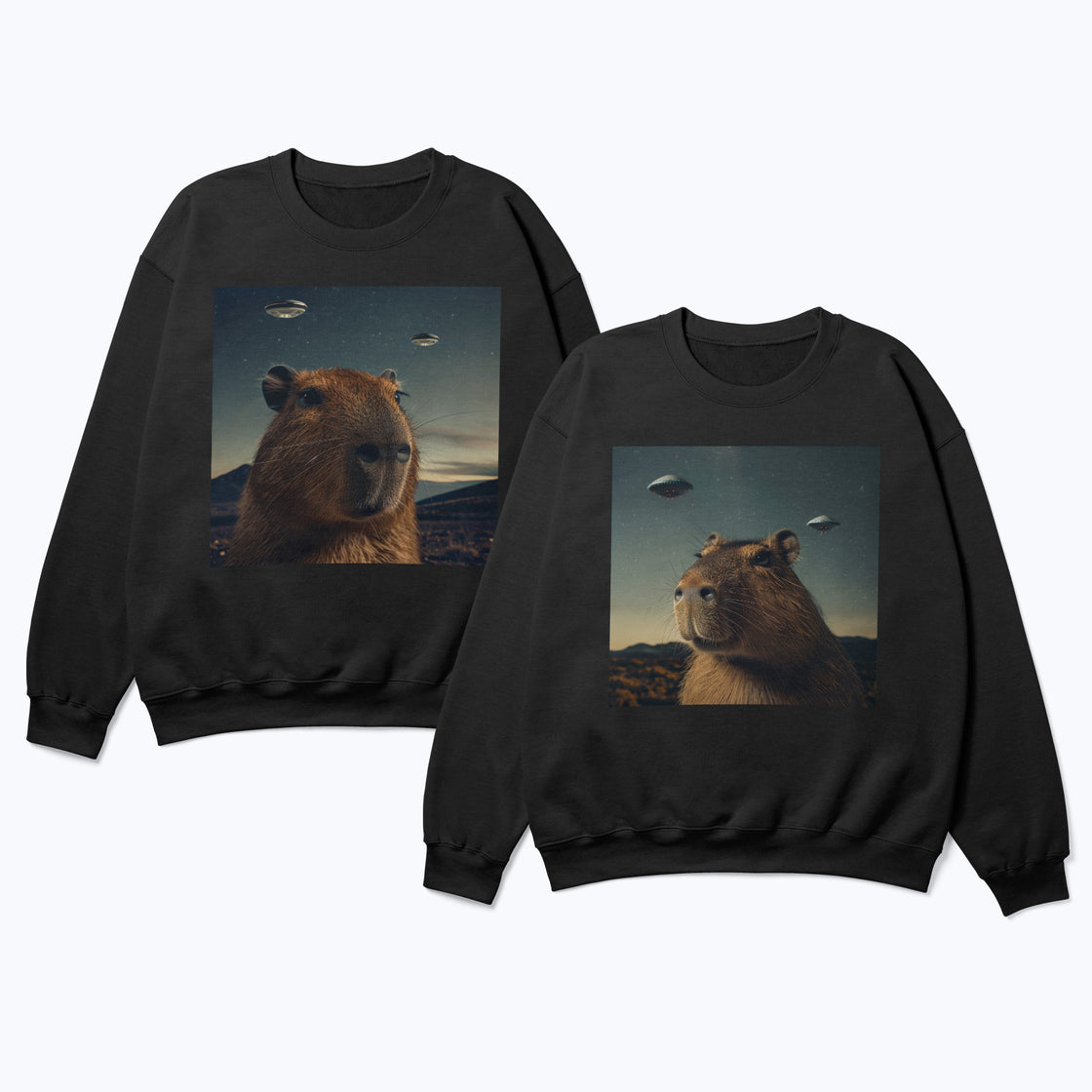 UFO Capybara – Funny Matching Outfit for His & Hers Moments