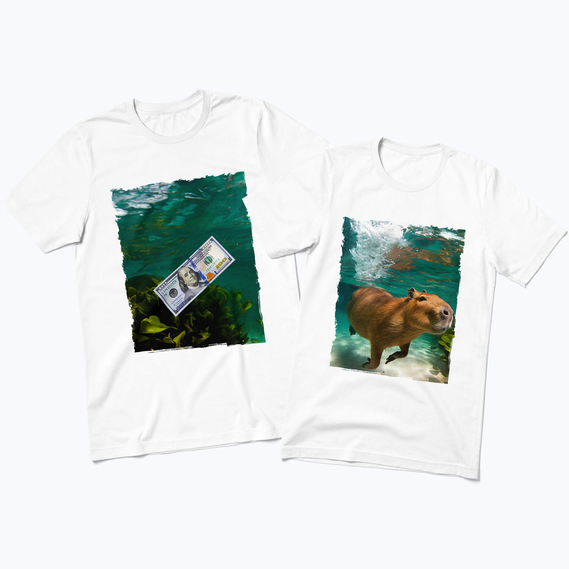Capybara & Dollar β Funny Matching Looks for Meme-Loving Couples
