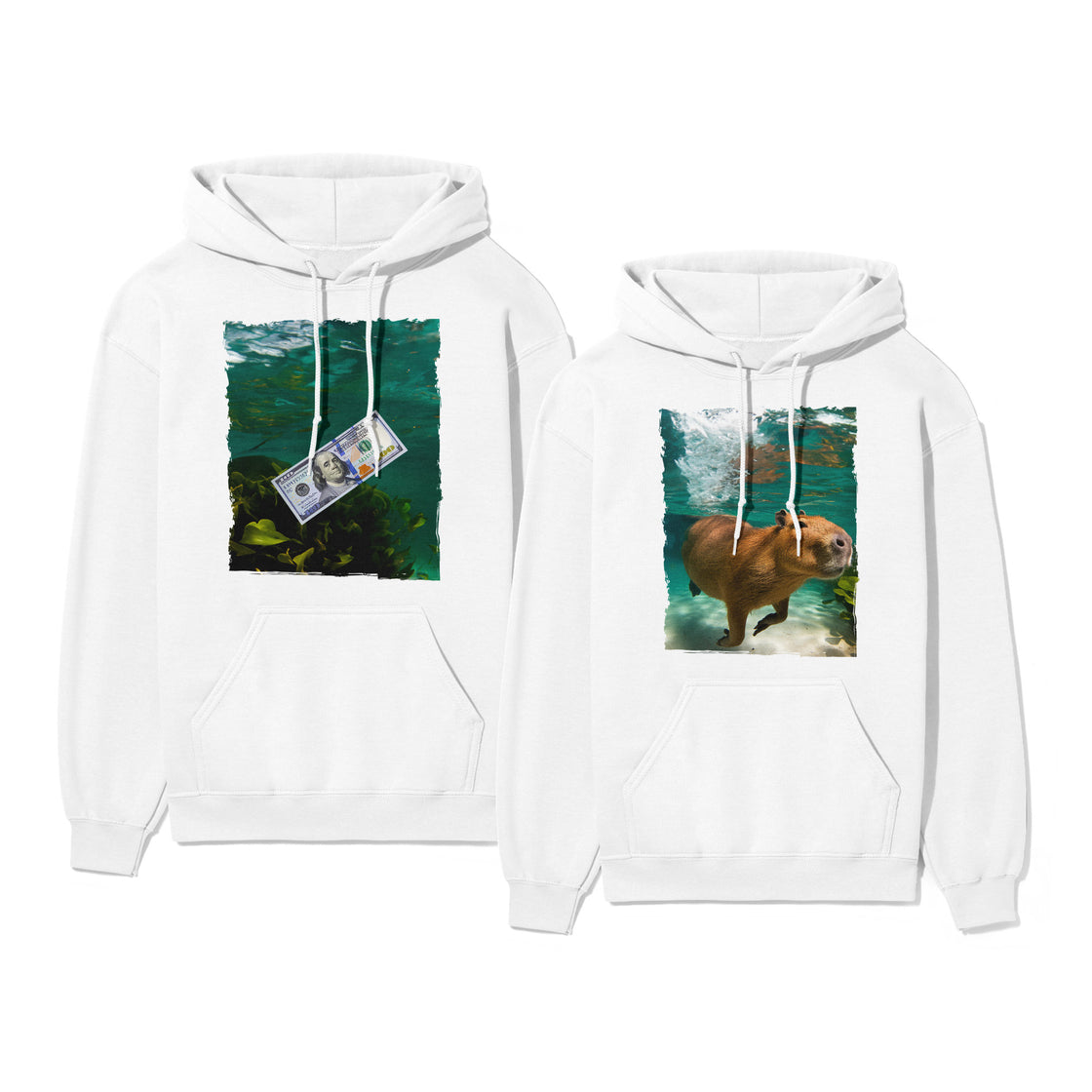 Capybara & Dollar β Funny Matching Looks for Meme-Loving Couples