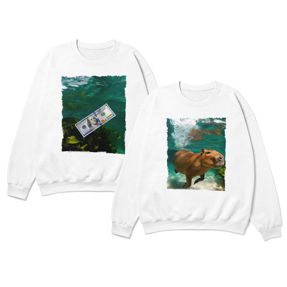 Capybara & Dollar β Funny Matching Looks for Meme-Loving Couples